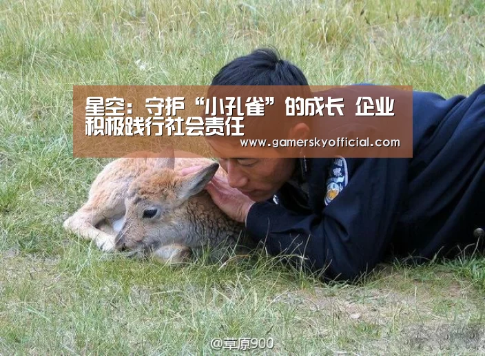 星空:守护“小孔雀”的成长 企业积极践行社会责任(图3) 星空game