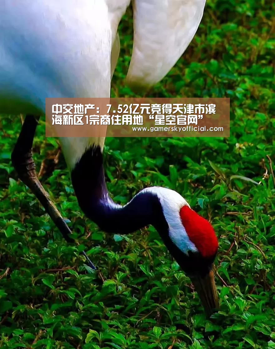 中交地产:7.52亿元竞得天津市滨海新区1宗商住用地“星空官网”(图1) 星空