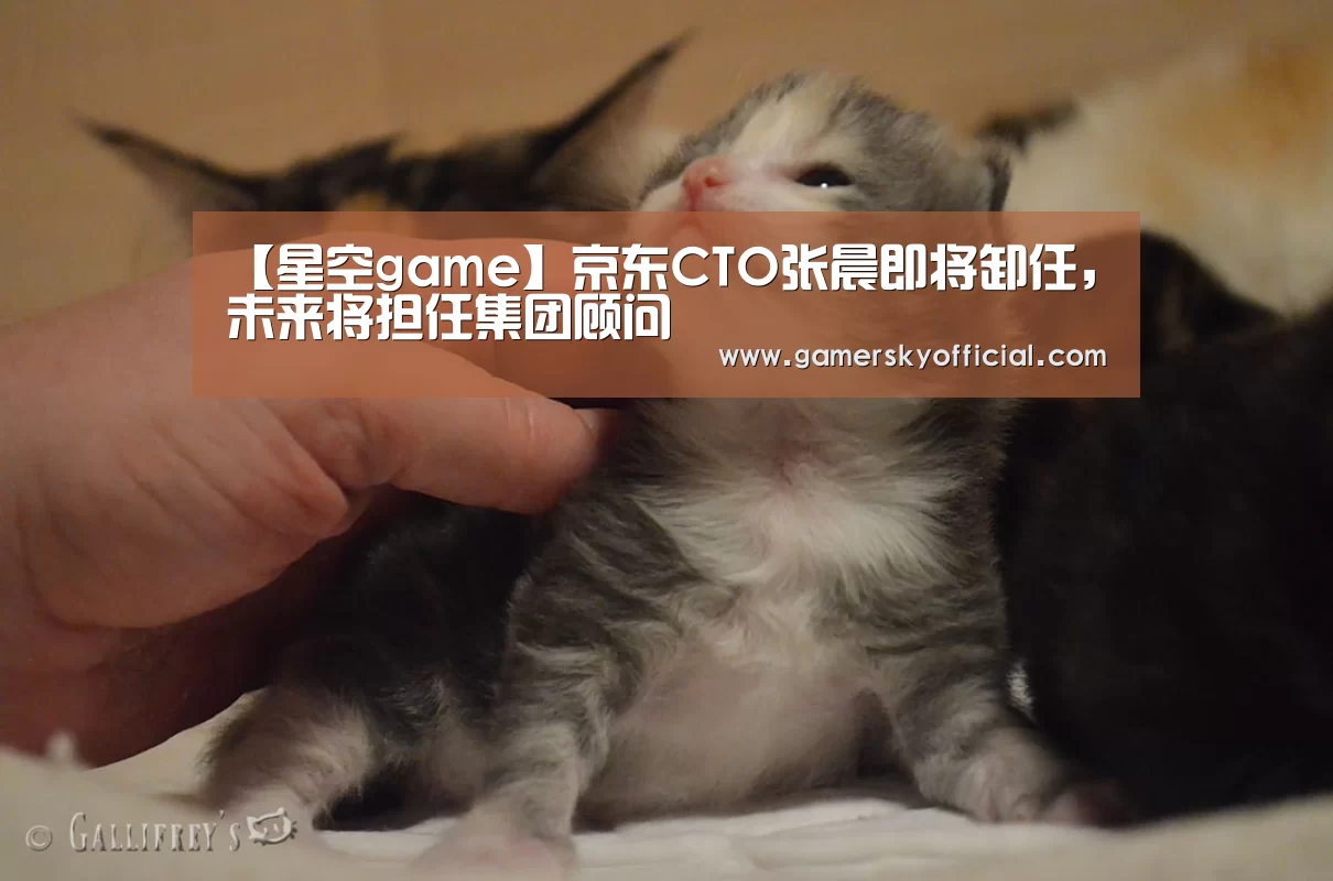 星空官网入口