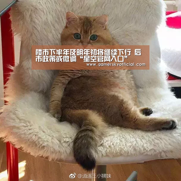楼市下半年及明年初将继续下行 后市政策或微调“星空官网入口”(图3) 星空