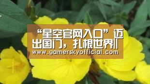 “星空官网入口”迈出国门,扎根世界||柏视与谢诺达成东非医疗战略合作(图2) 星空官网