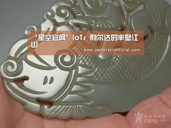 ‘星空官网’IoT:利尔达的半壁江山(图3) 星空game