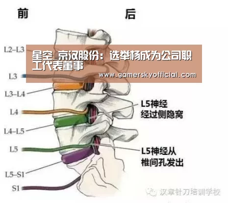 星空_京汉股份:选举杨成为公司职工代表董事(图1) 星空官网入口